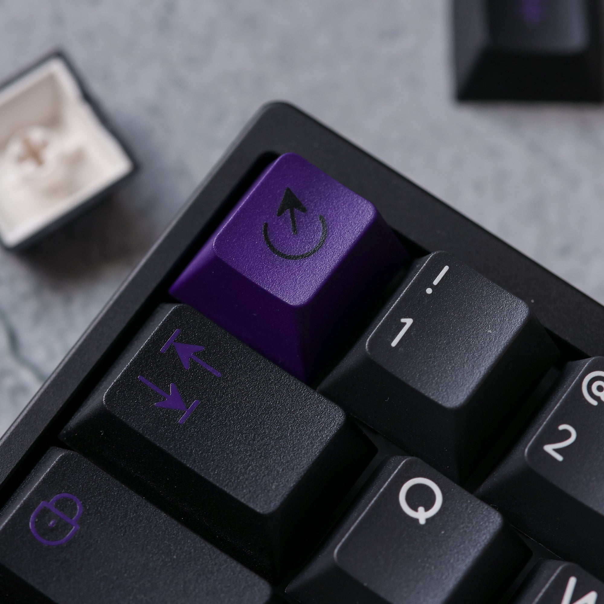 PBTfans Purpolch R2 - Pre-Order
