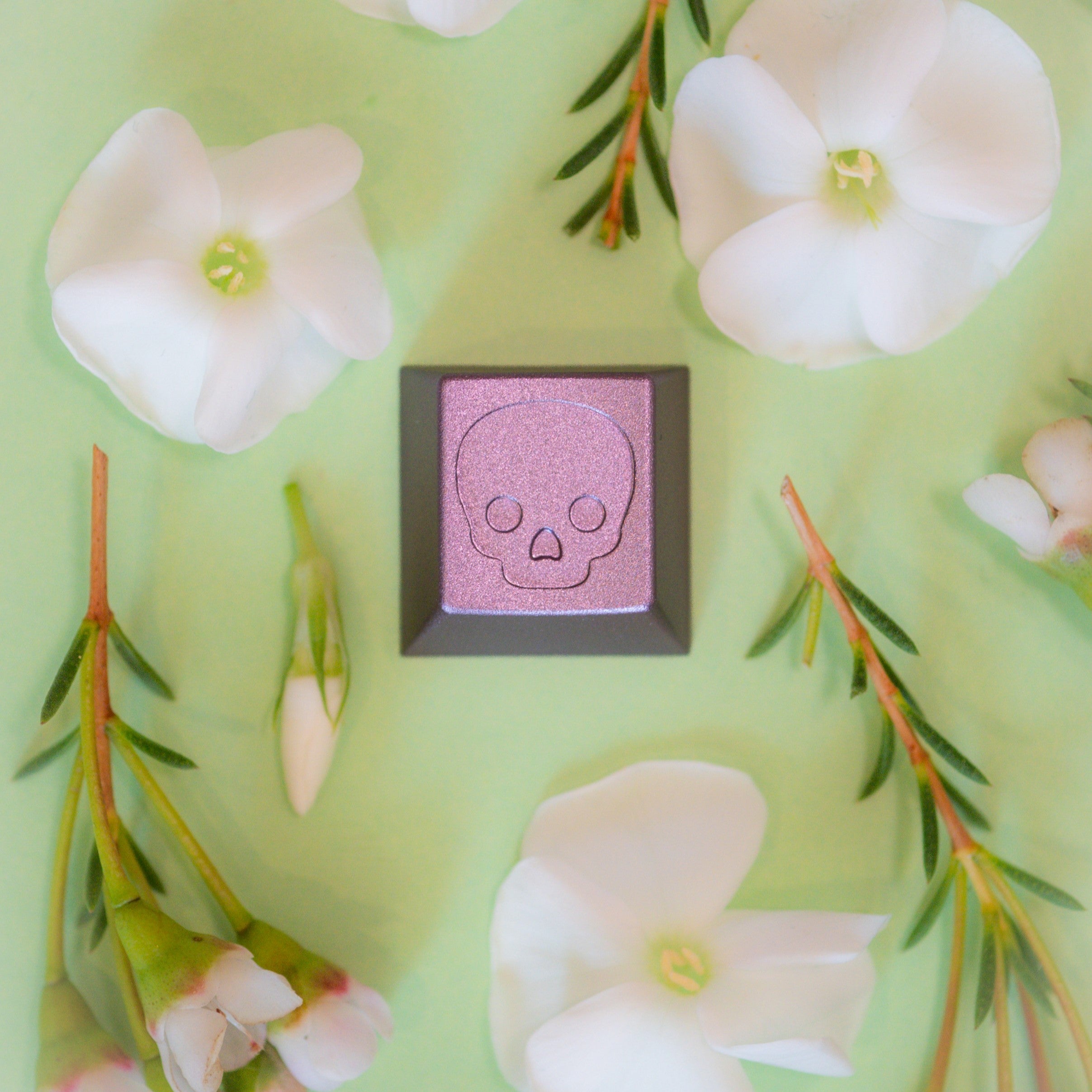 Darling Bonehead Artisans - Pre-Order