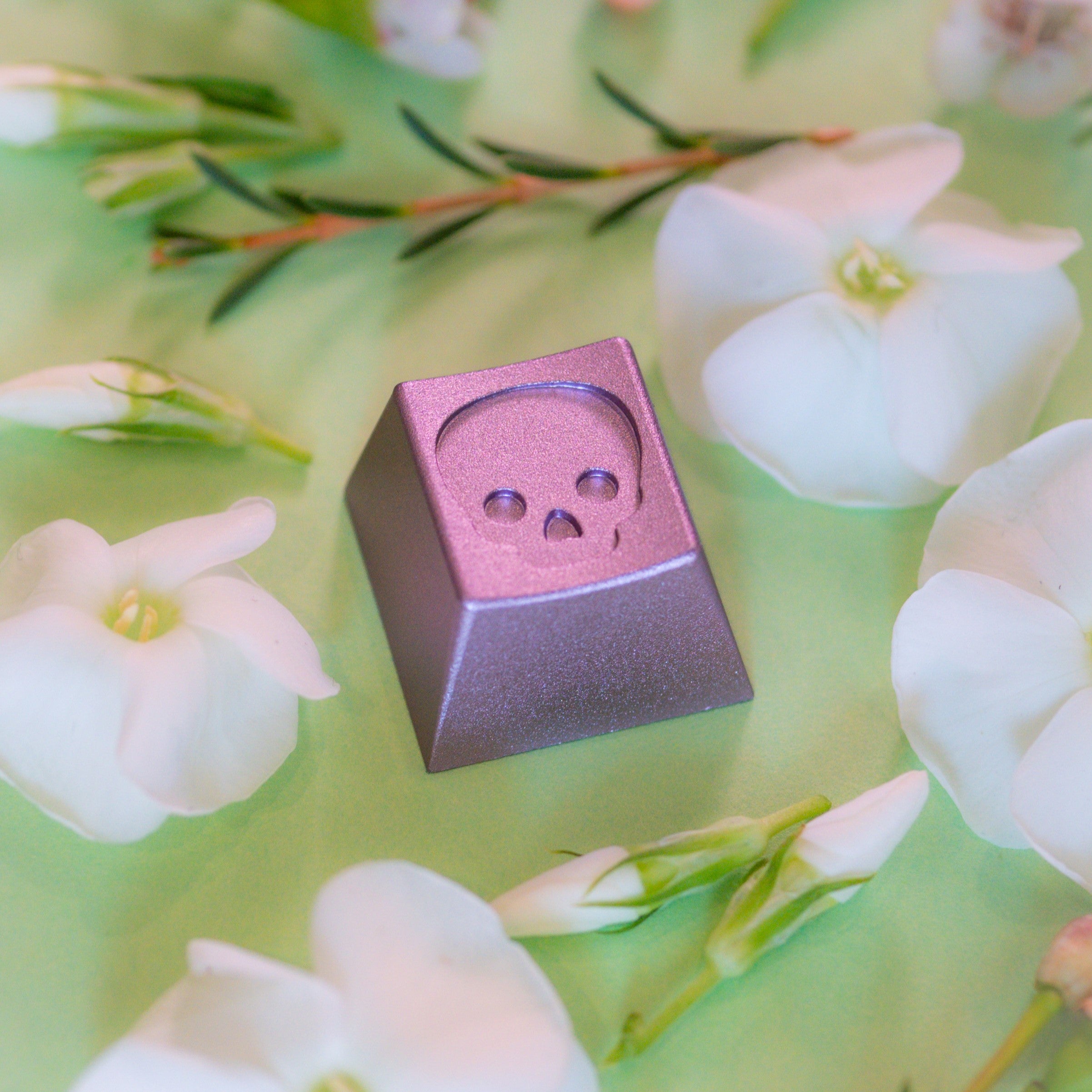 Darling Bonehead Artisans - Pre-Order