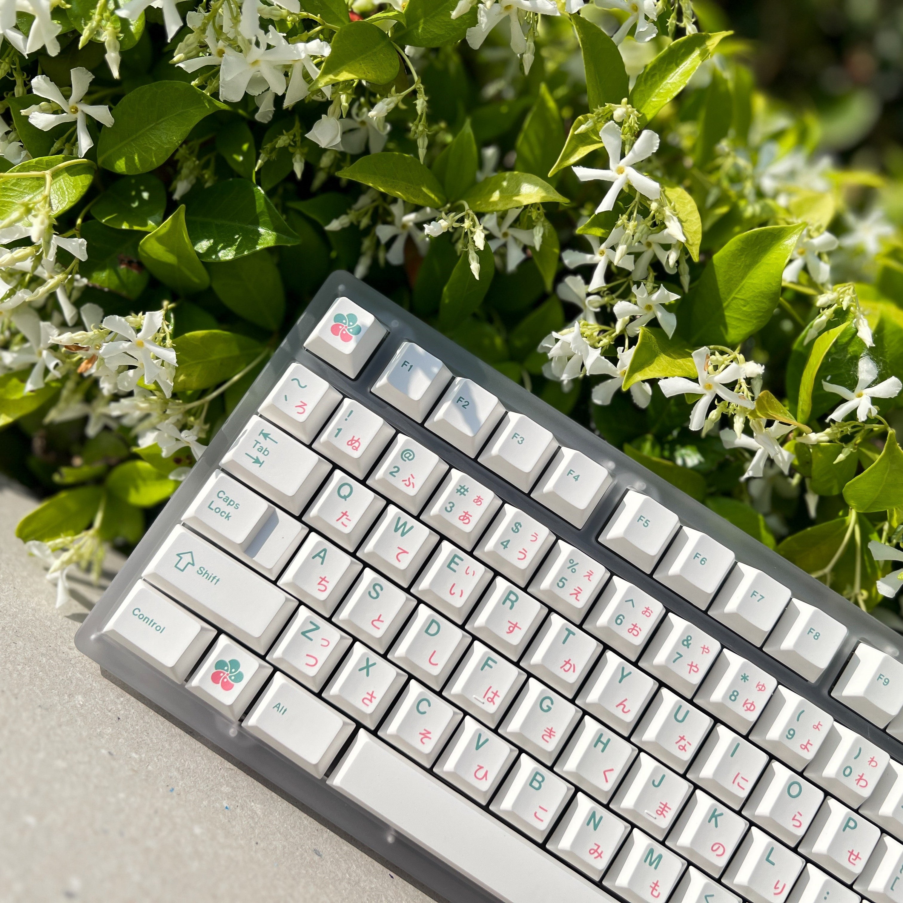 XMI Matcha Sakura Keycaps