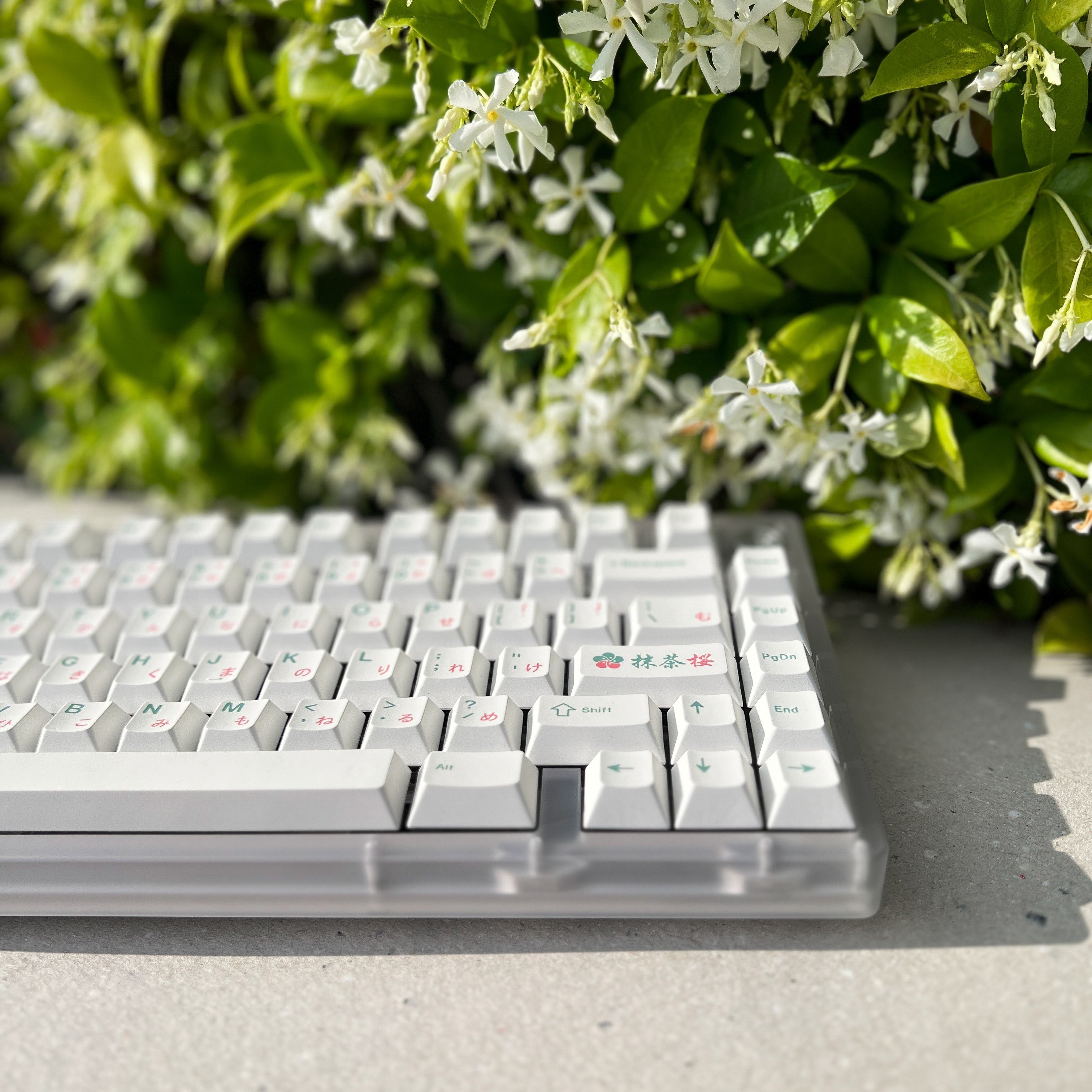 XMI Matcha Sakura Keycaps