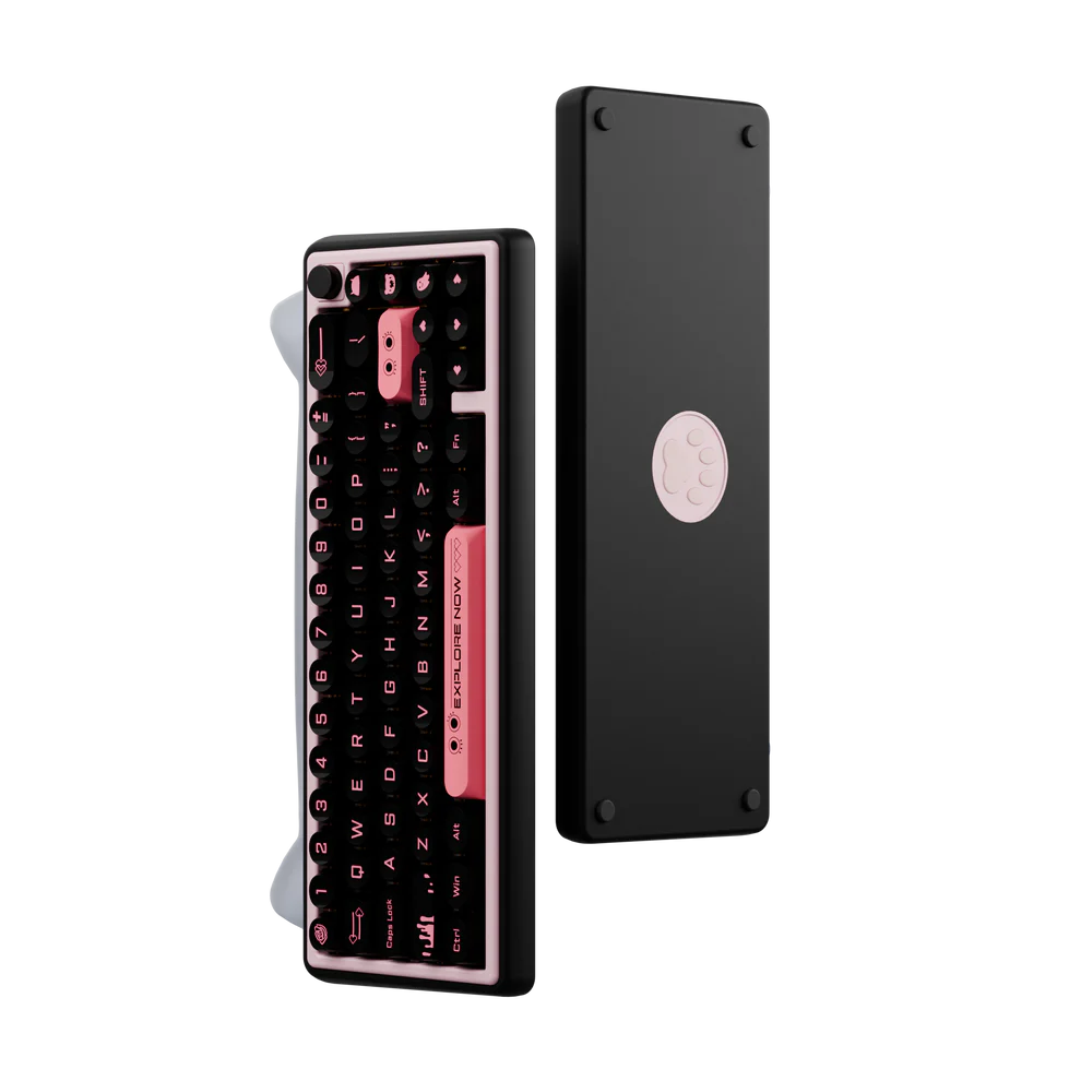 Paw65 Assembled Edition