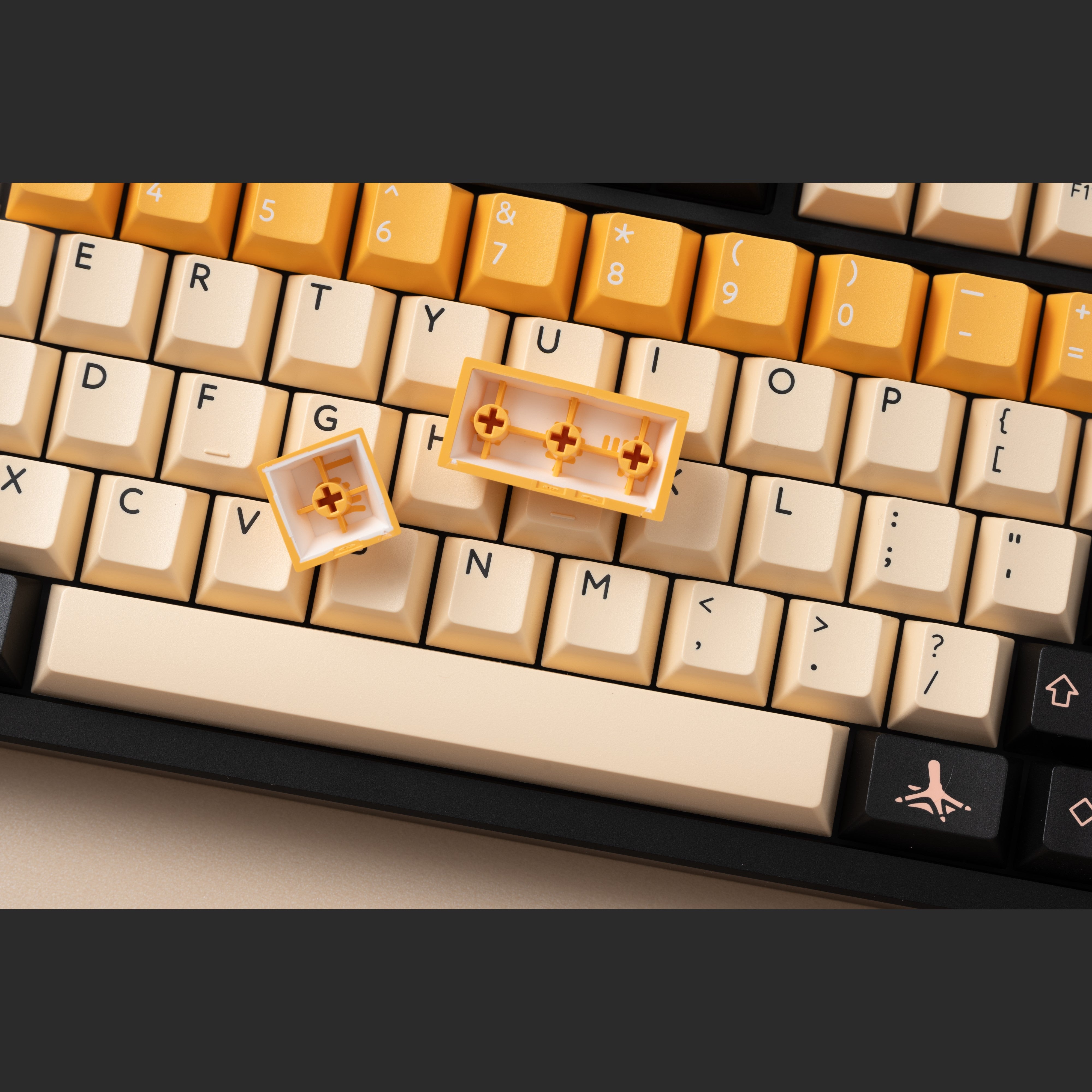 PBTfans Pelican - Pre-Order