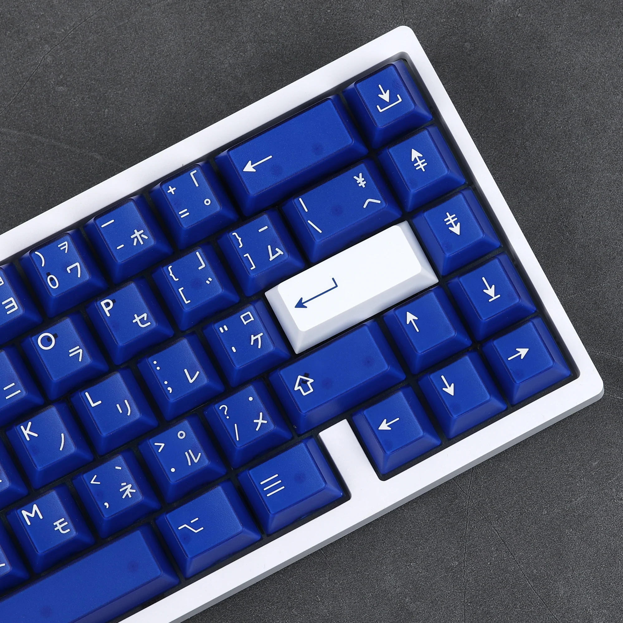 PBTfans Klein Blue