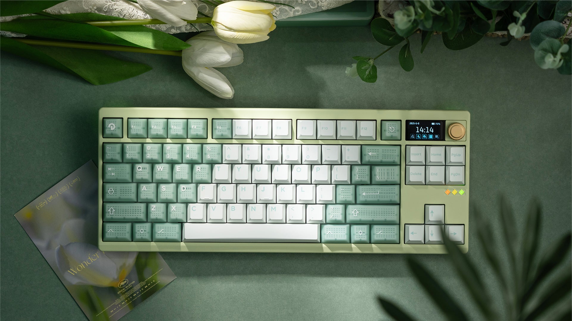 ZOOM TKL DYNA Milky Green