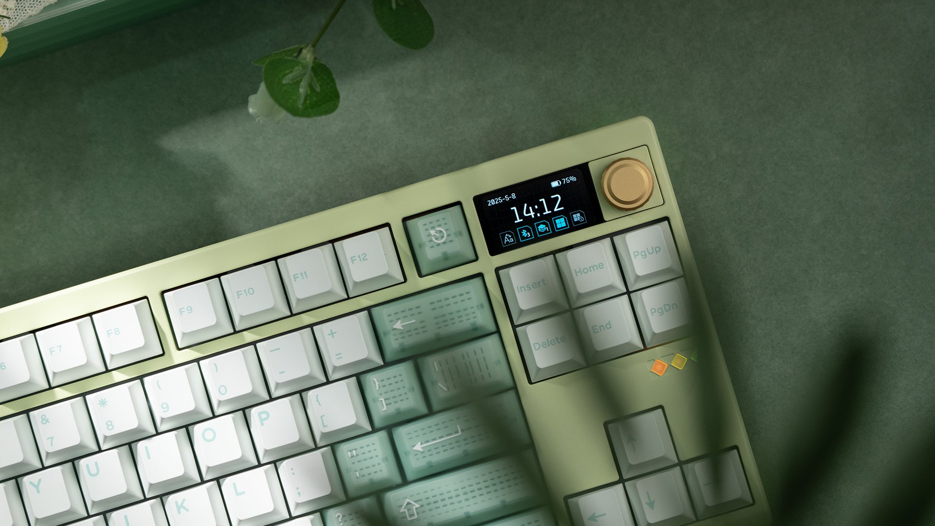 ZOOM TKL DYNA Milky Green