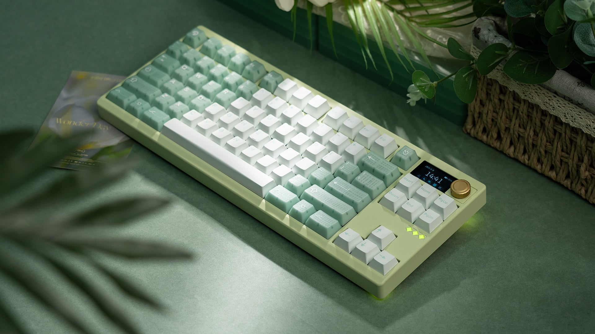 ZOOM TKL DYNA Milky Green