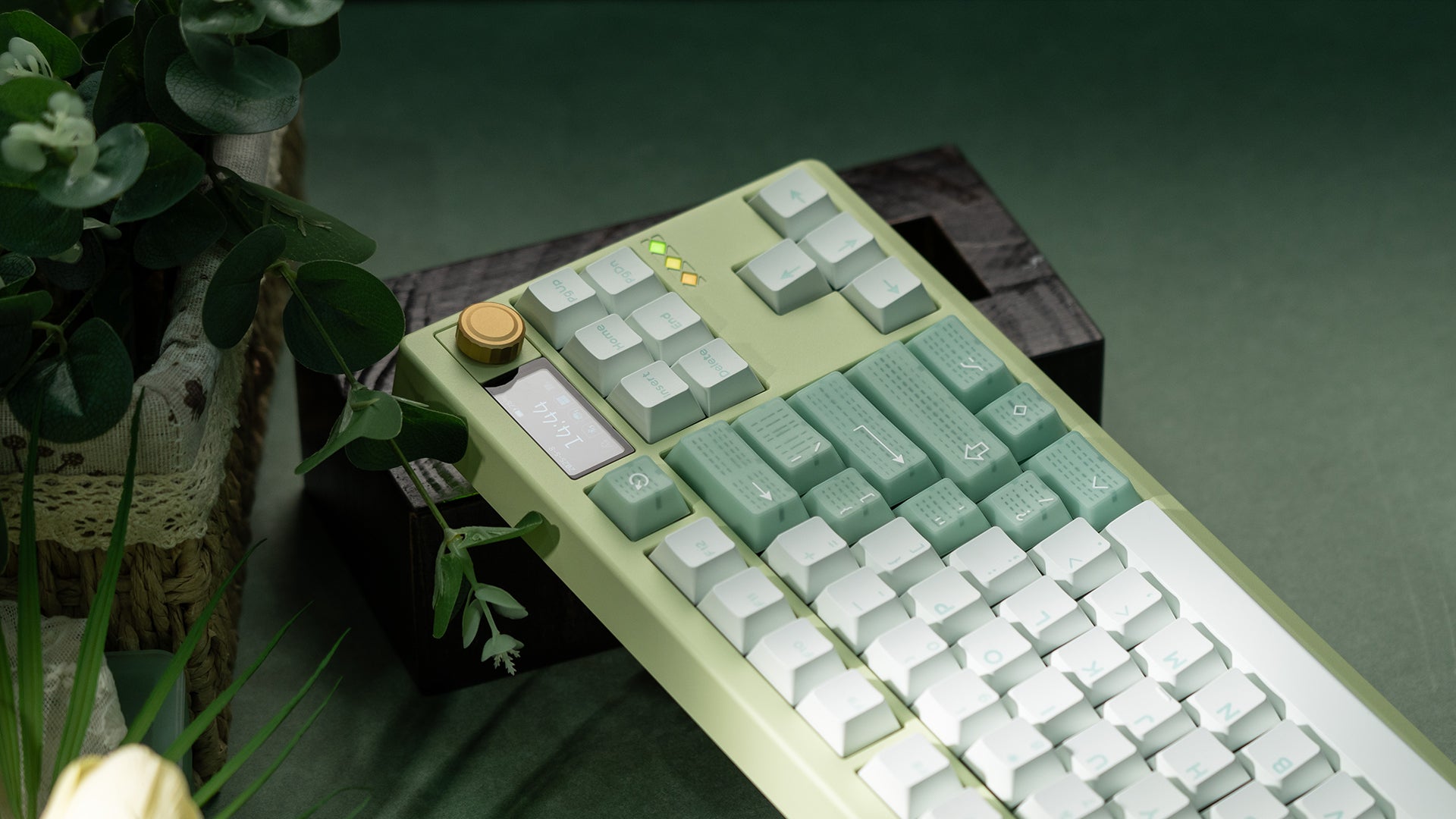 ZOOM TKL DYNA Milky Green