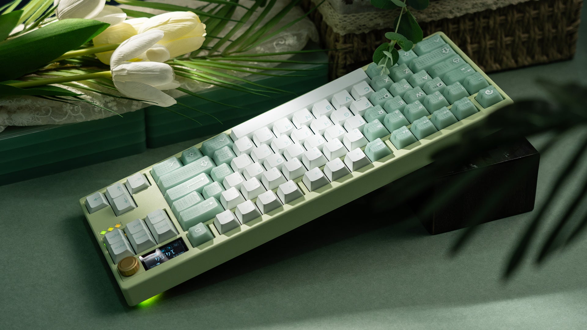 ZOOM TKL DYNA Milky Green