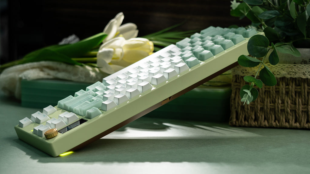 ZOOM TKL DYNA Milky Green