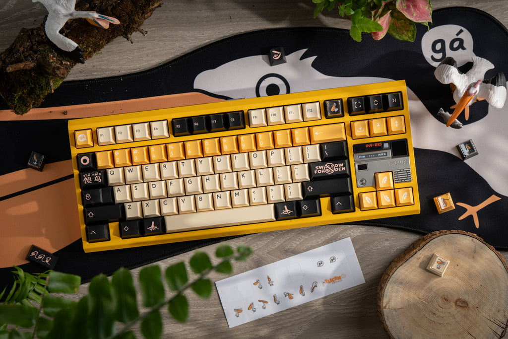 PBTfans Pelican R2