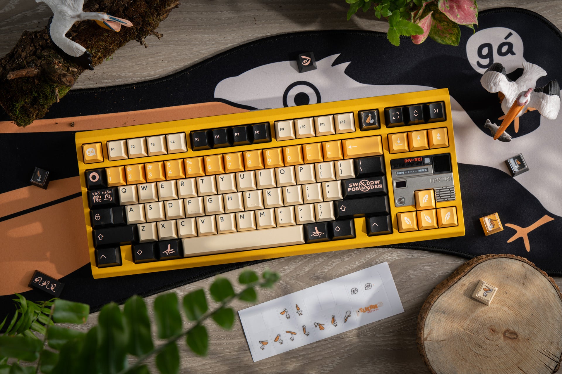 PBTfans Pelican R2