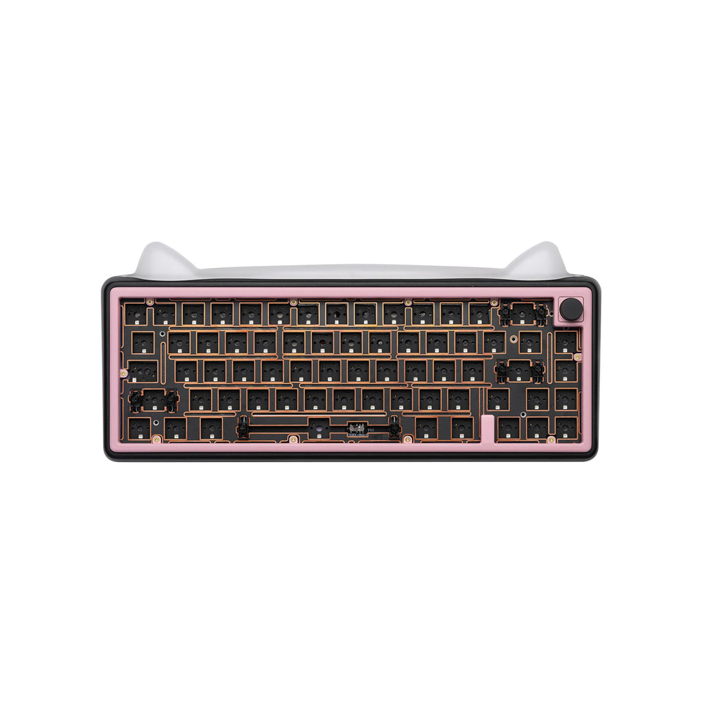 Paw65 Assembled Edition