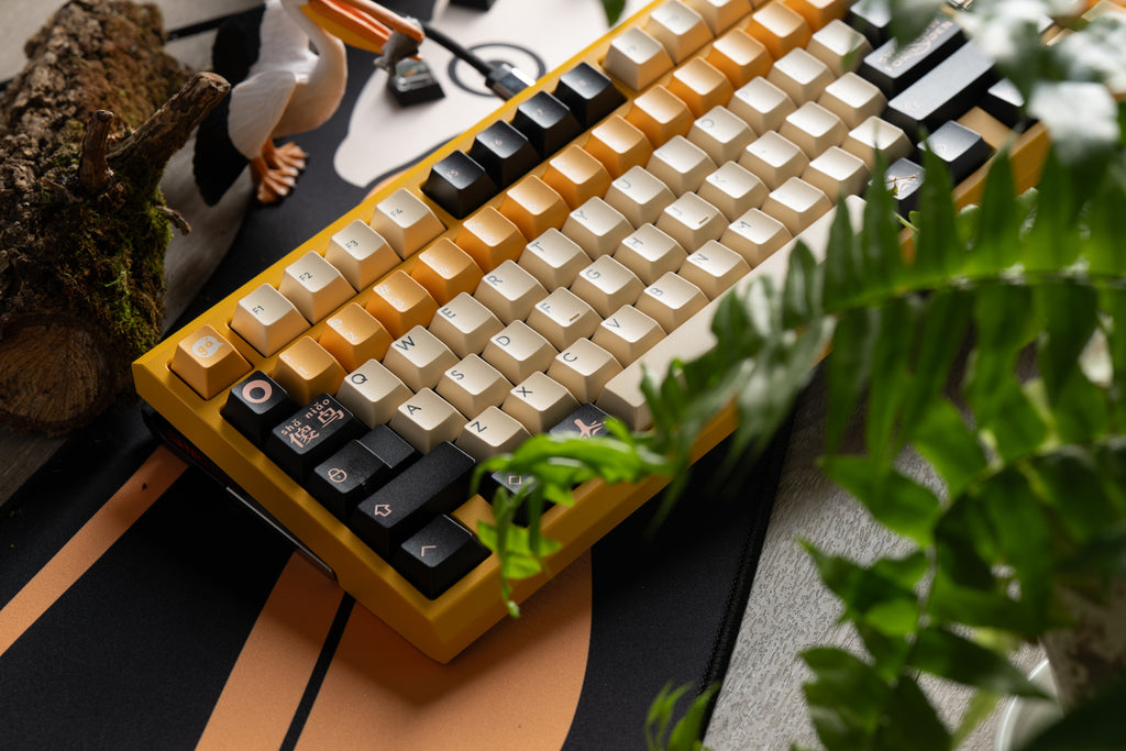 PBTfans Pelican R2