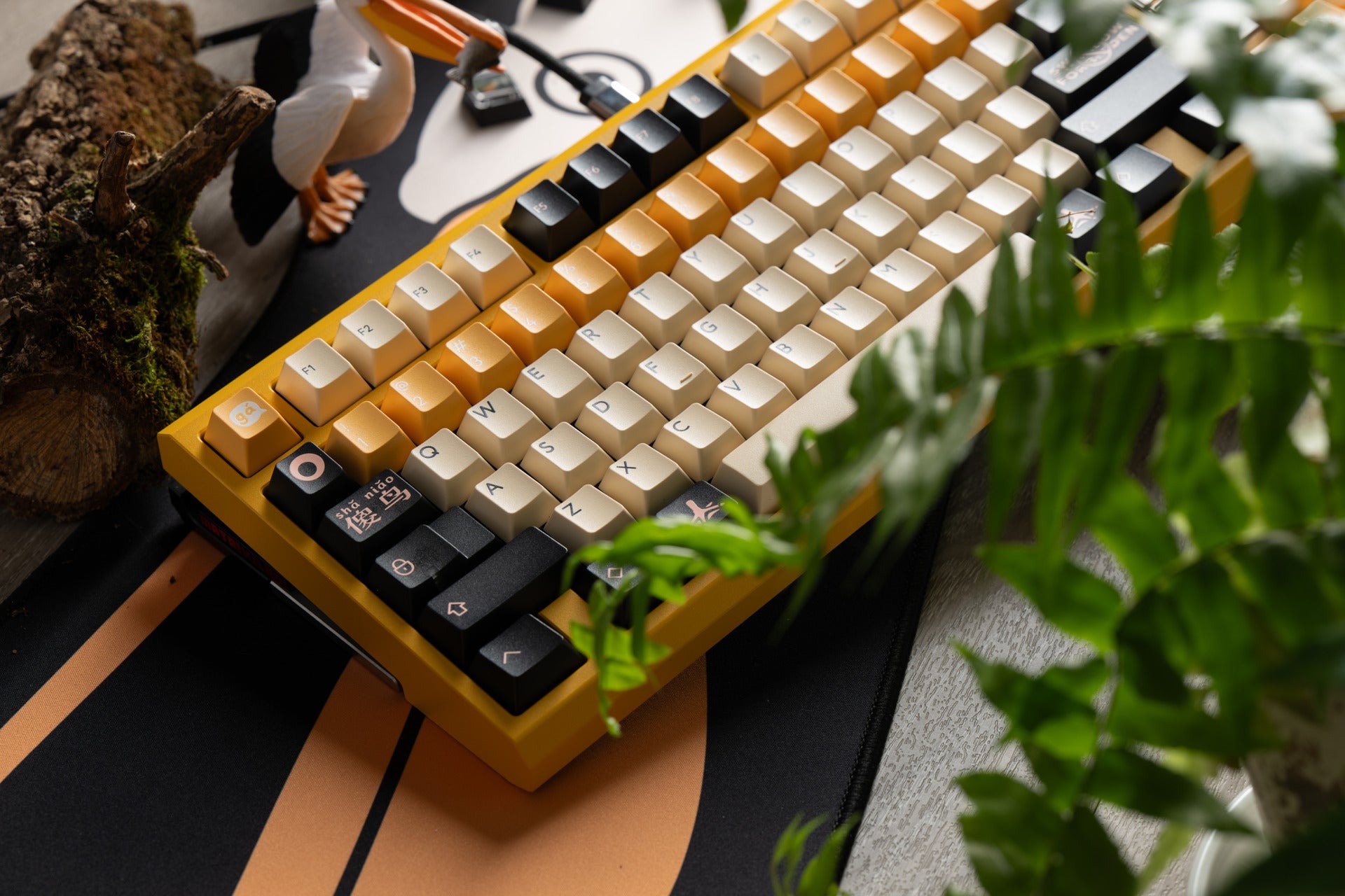 PBTfans Pelican R2