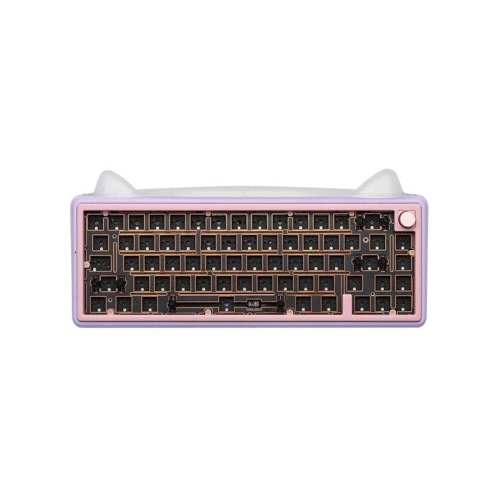 Paw65 Assembled Edition
