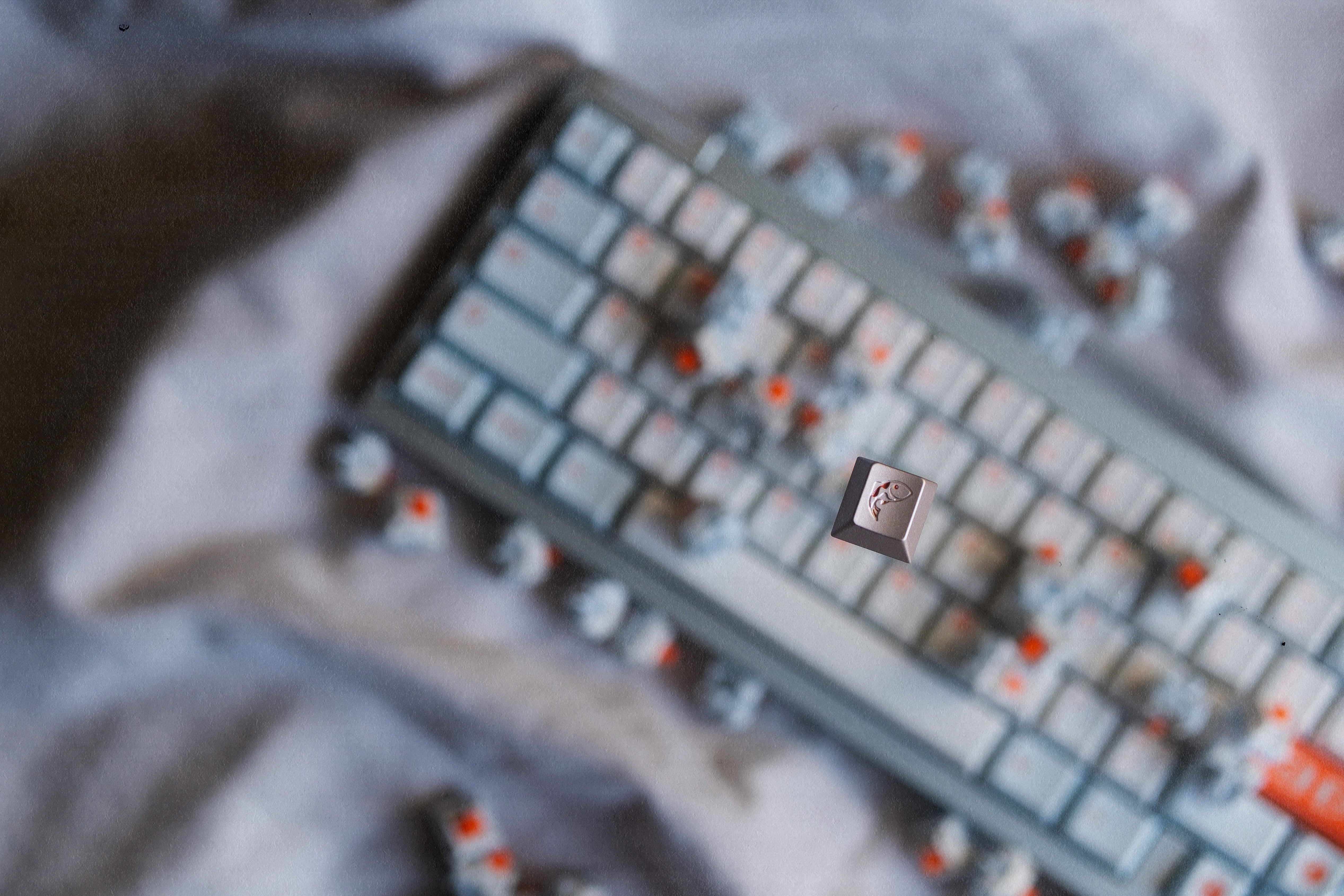 Salmon Reborn R2 Keycaps - Group-Buy