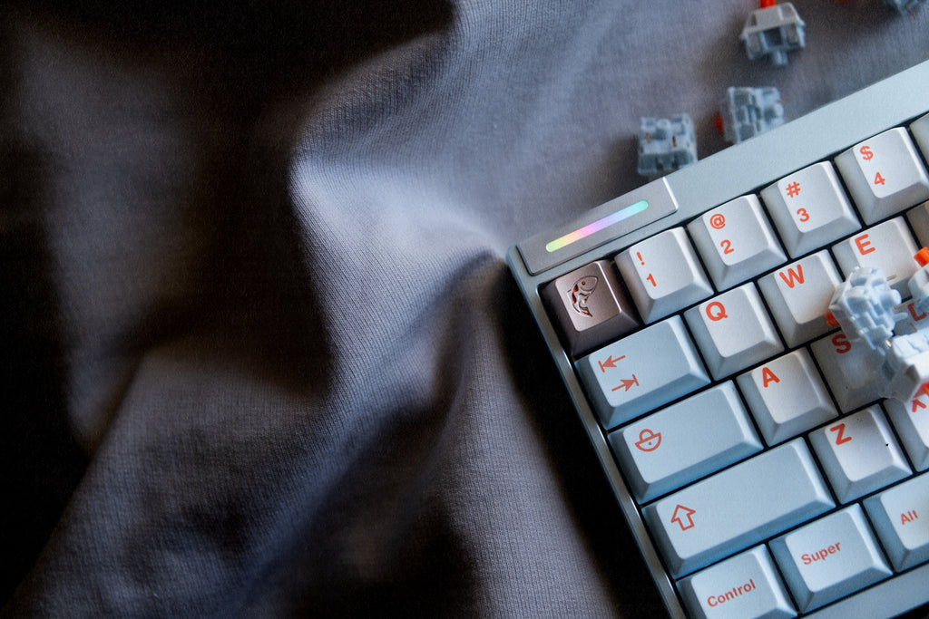 Salmon Reborn R2 Keycaps