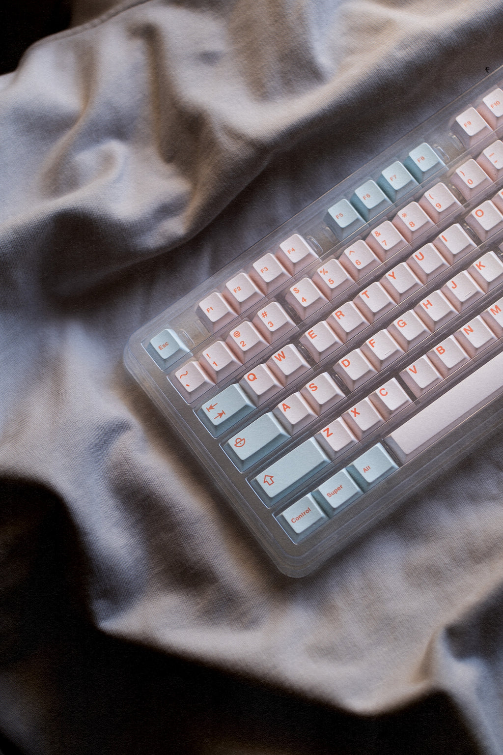 Salmon Reborn R2 Keycaps