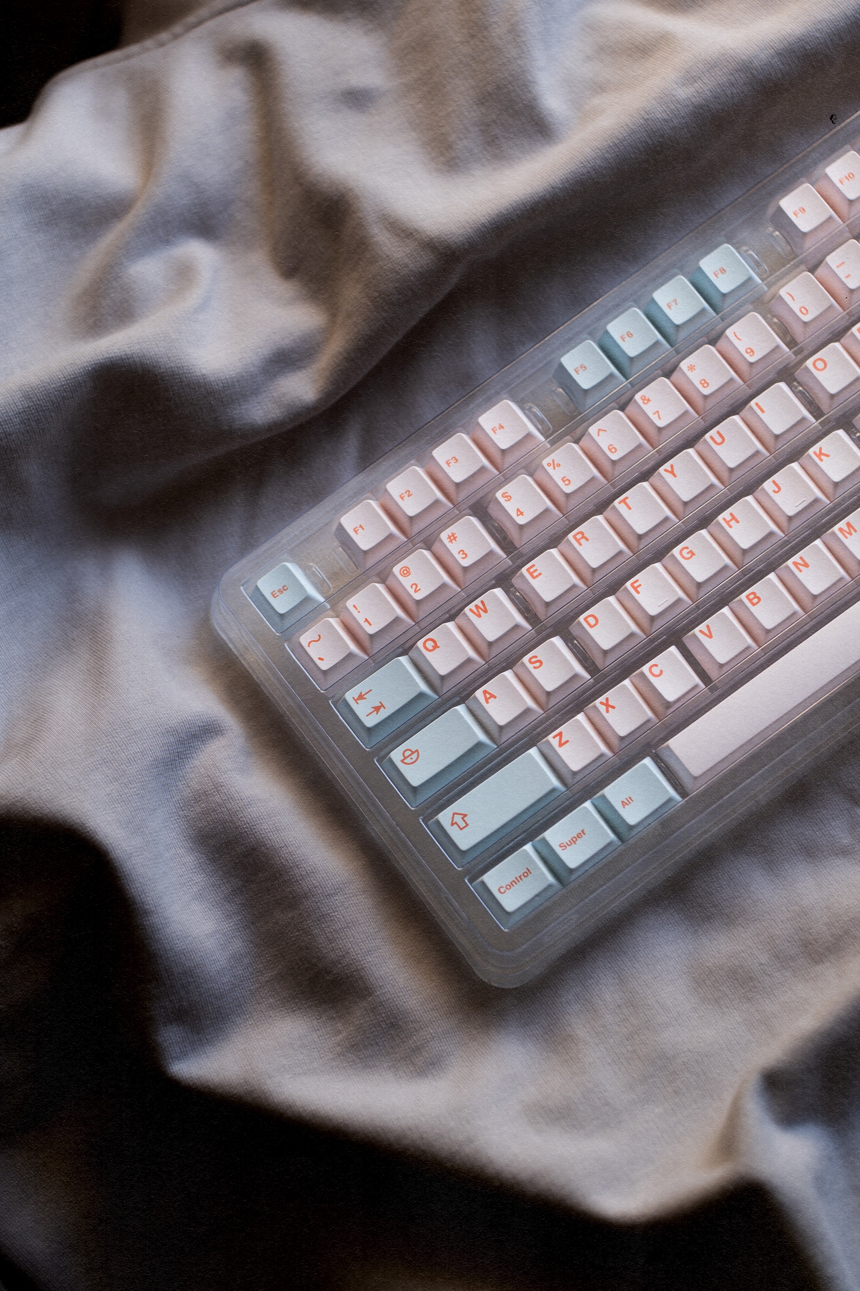 Salmon Reborn R2 Keycaps