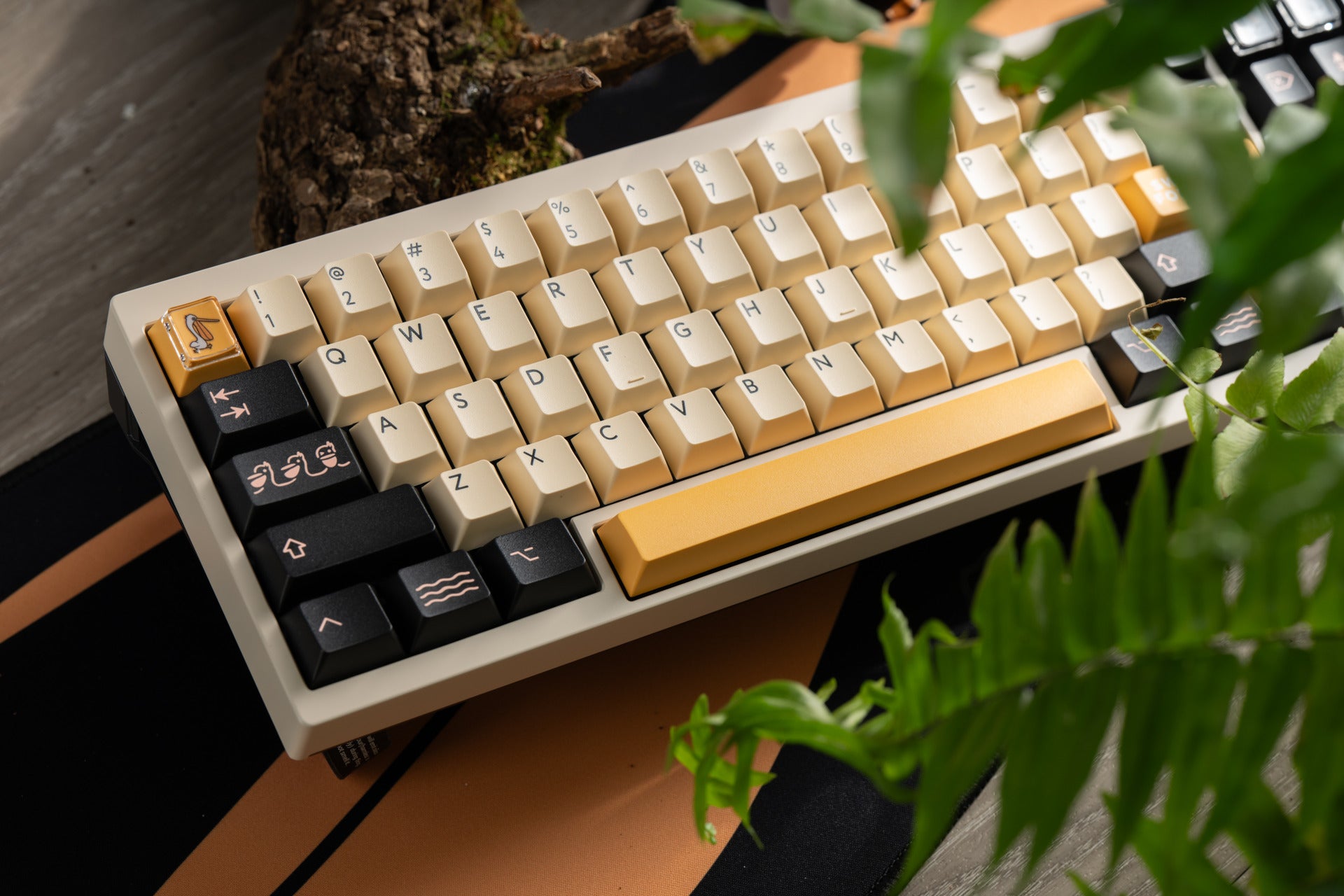 PBTfans Pelican R2