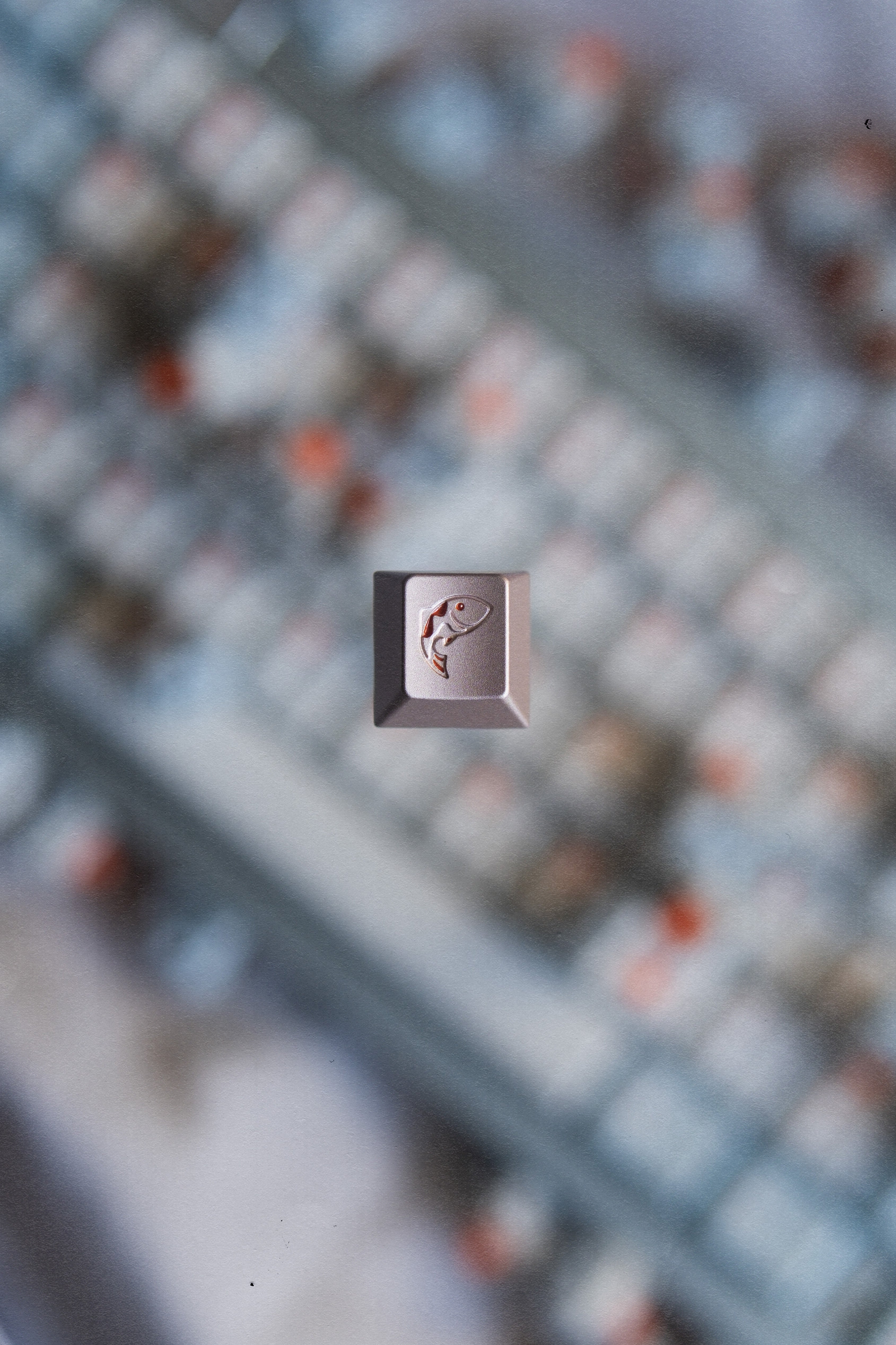 Salmon Reborn R2 Keycaps