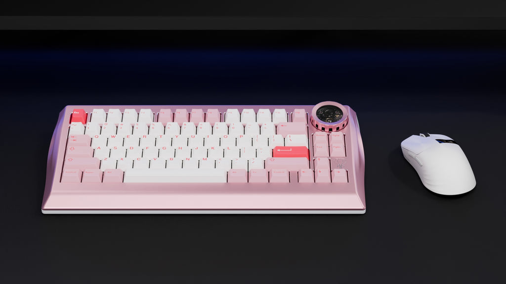 NAMA - Standard Edition - Group-Buy