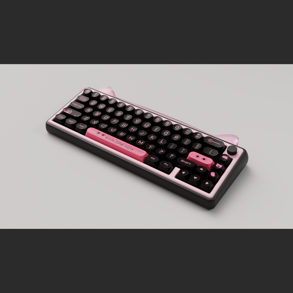 Paw65 Assembled Edition