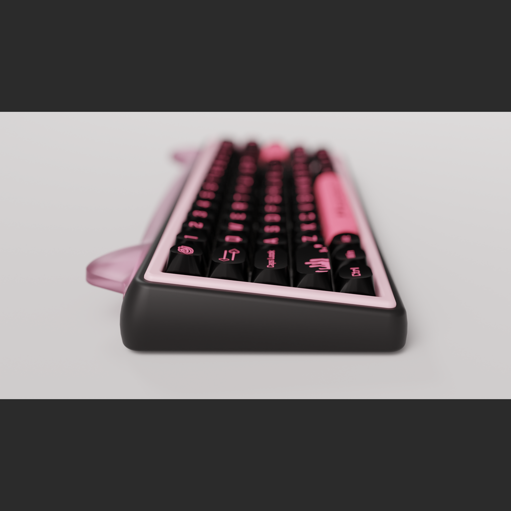 Paw65 Assembled Edition
