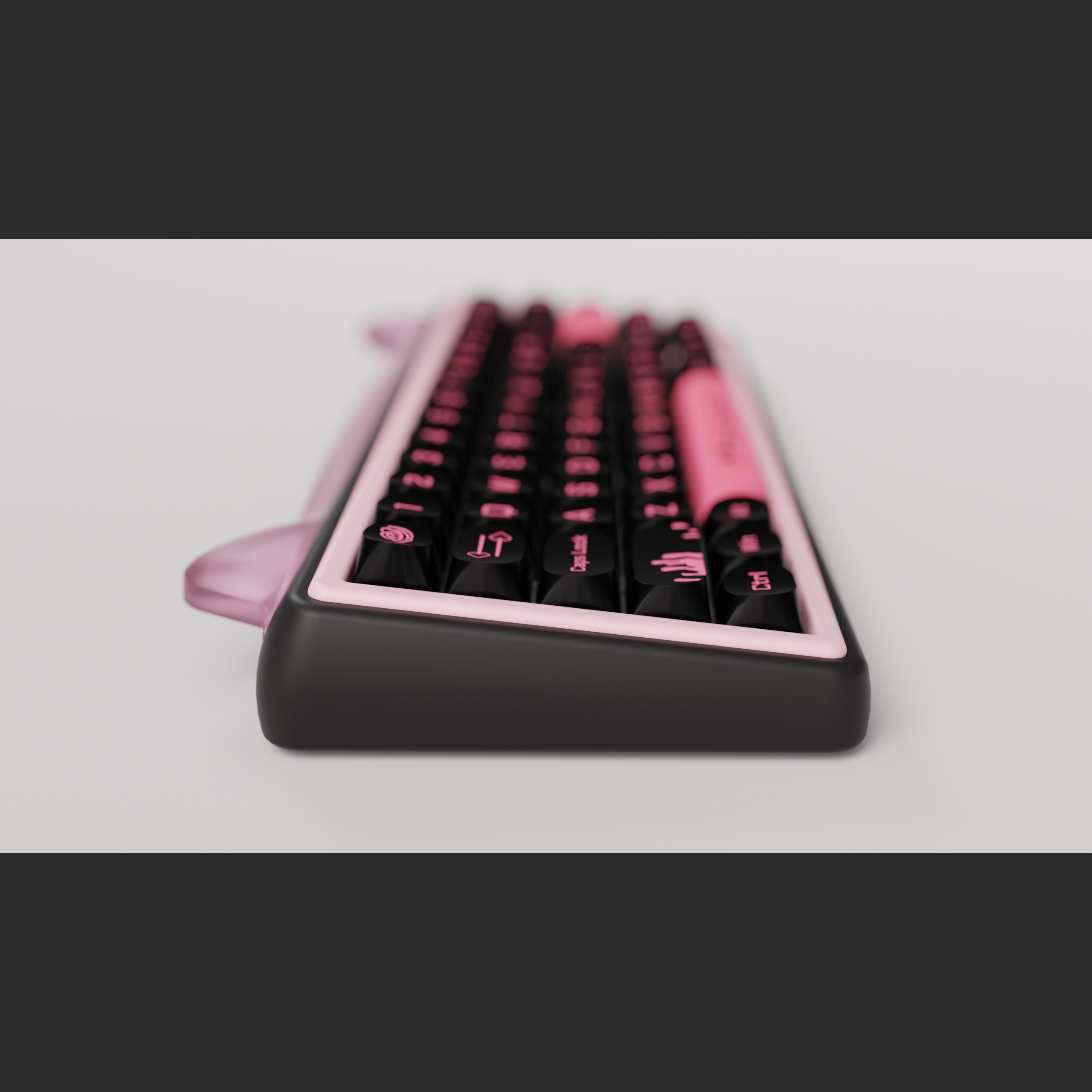 Paw65 Assembled Edition
