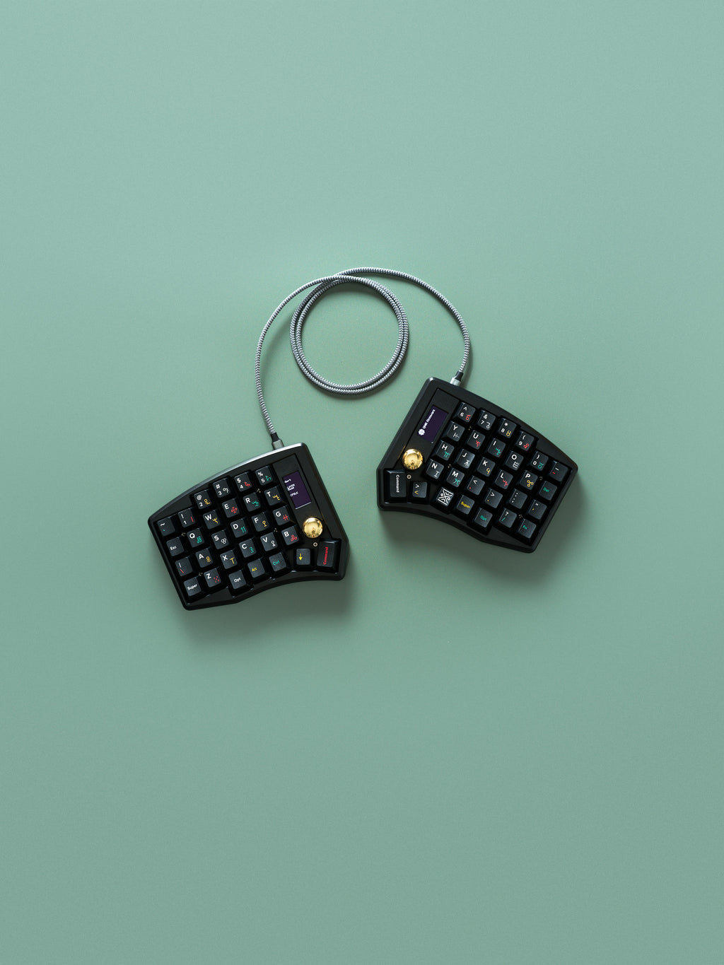 Link Split Ergo - Pre-Order