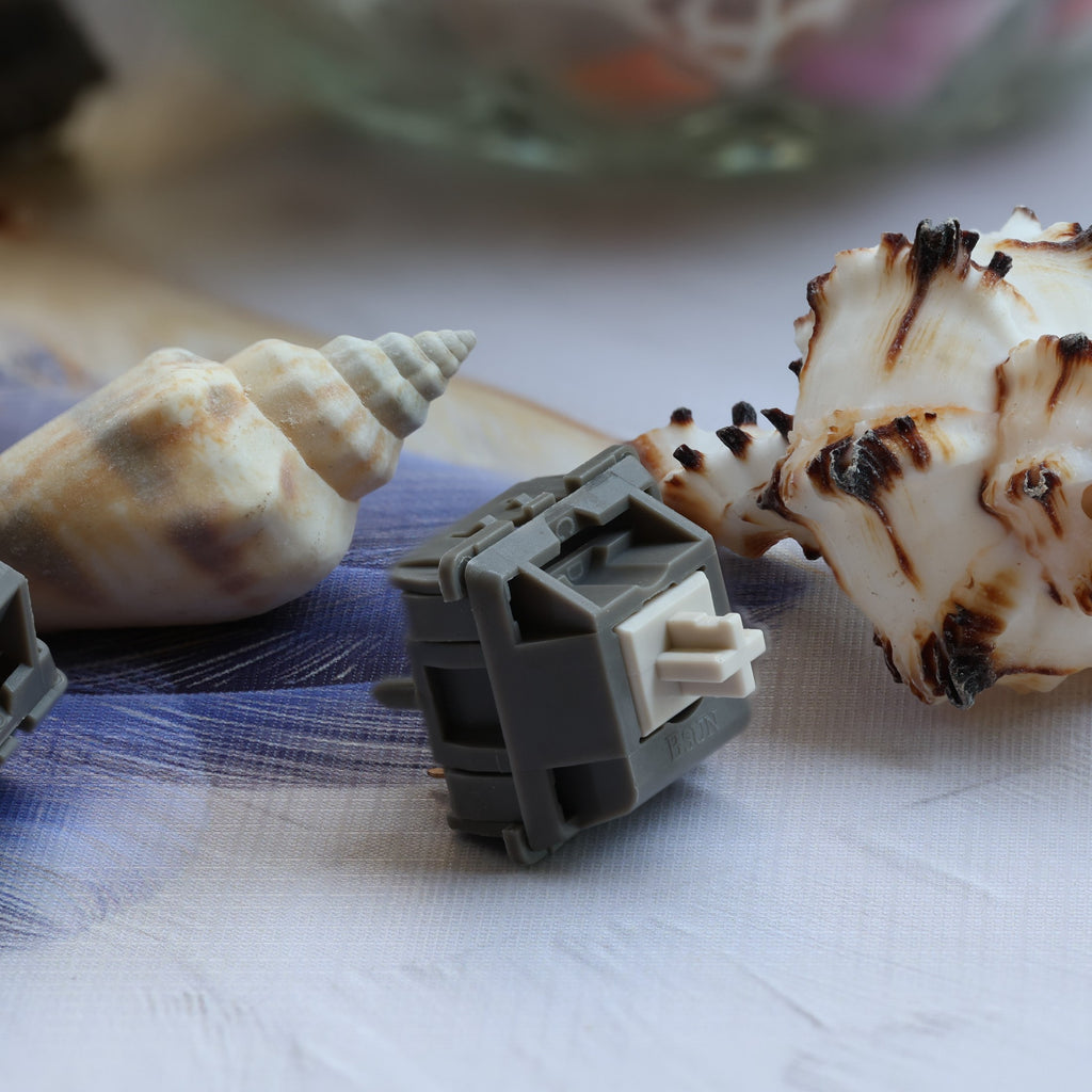 Bsun Hillstone Switch / 10pcs