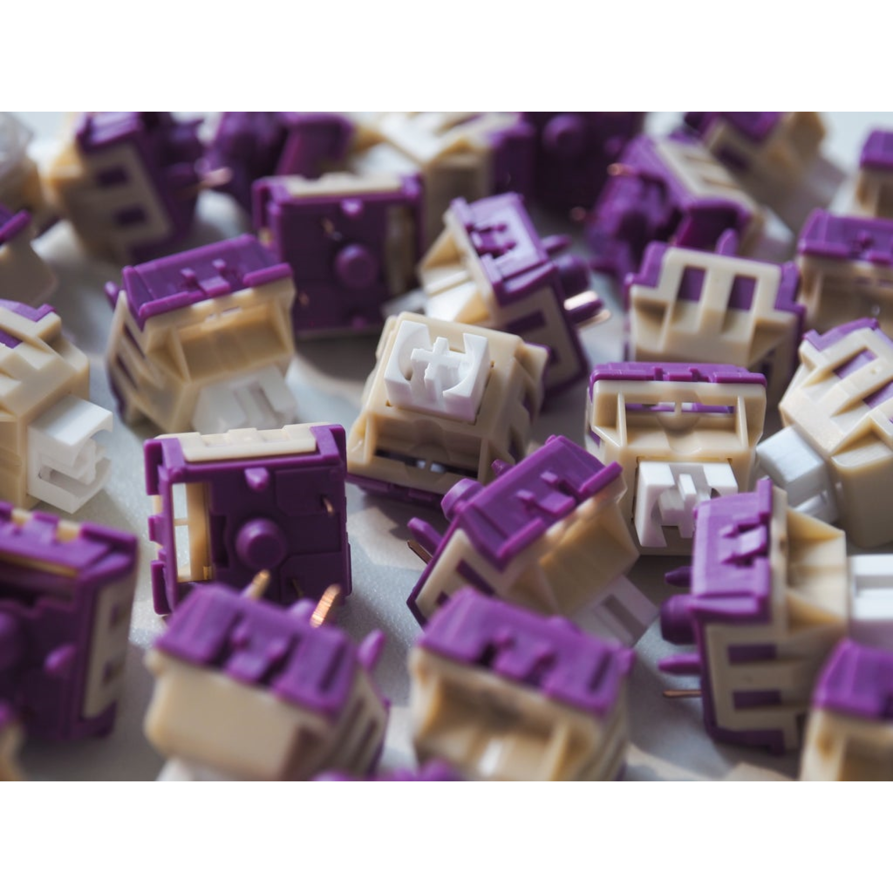 WS Onion Switch  / 10pcs